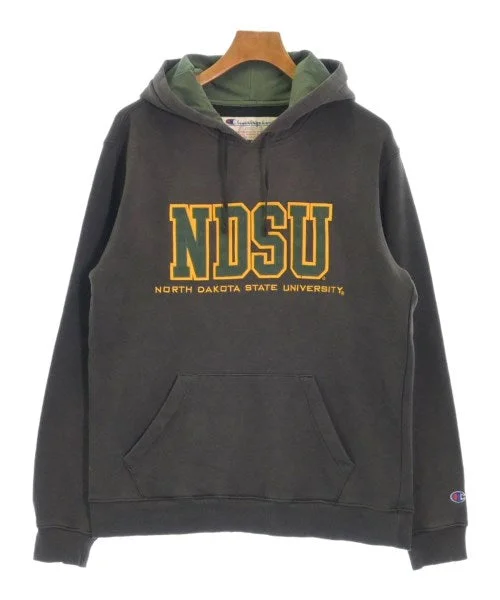 CHAMPION Hoodies Hoodie with Earth Tones Natural Calm